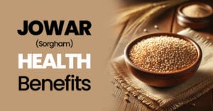 Read more about the article 14 Amazing Jowar Health Benefits You Need to Know