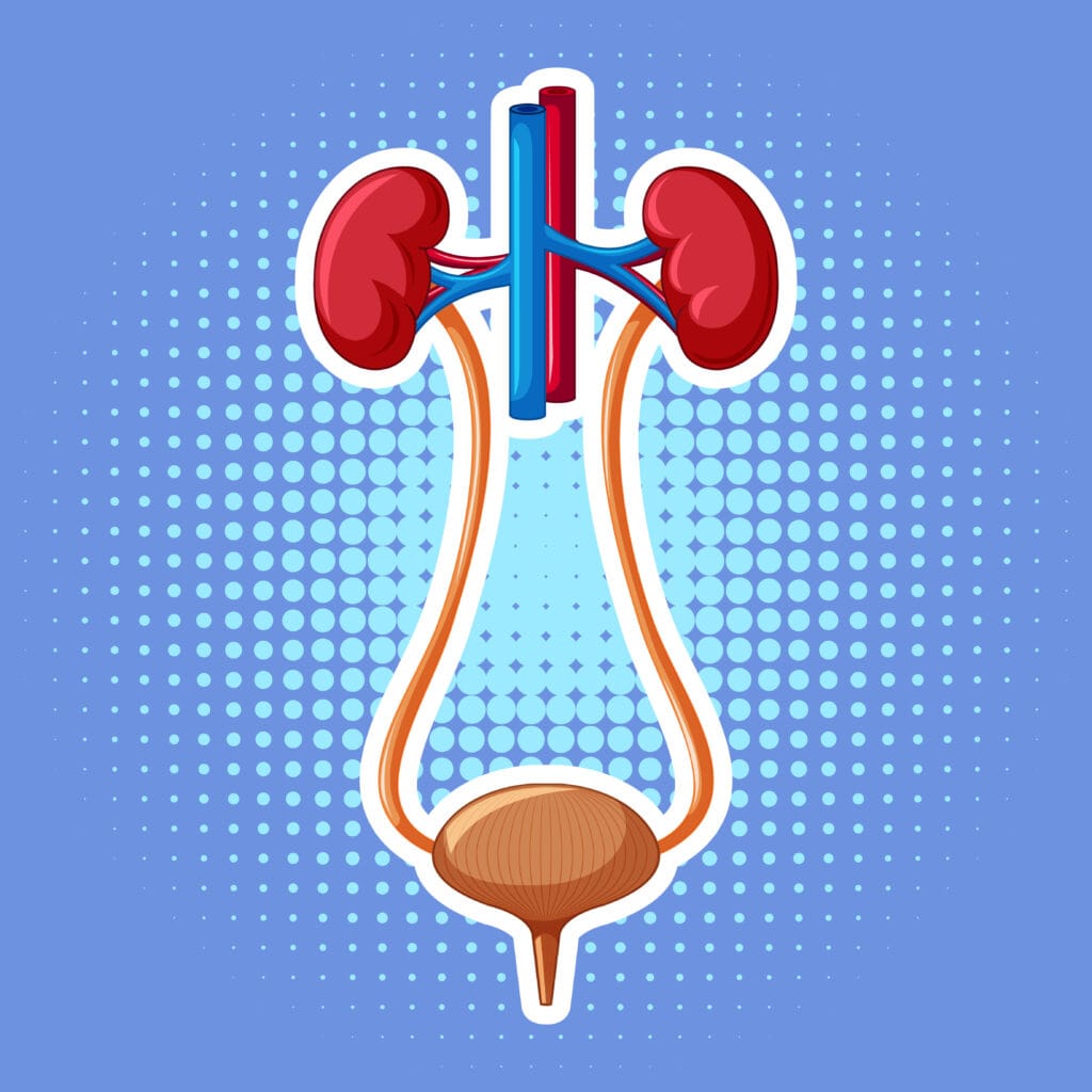 urology treatment in hulsoor