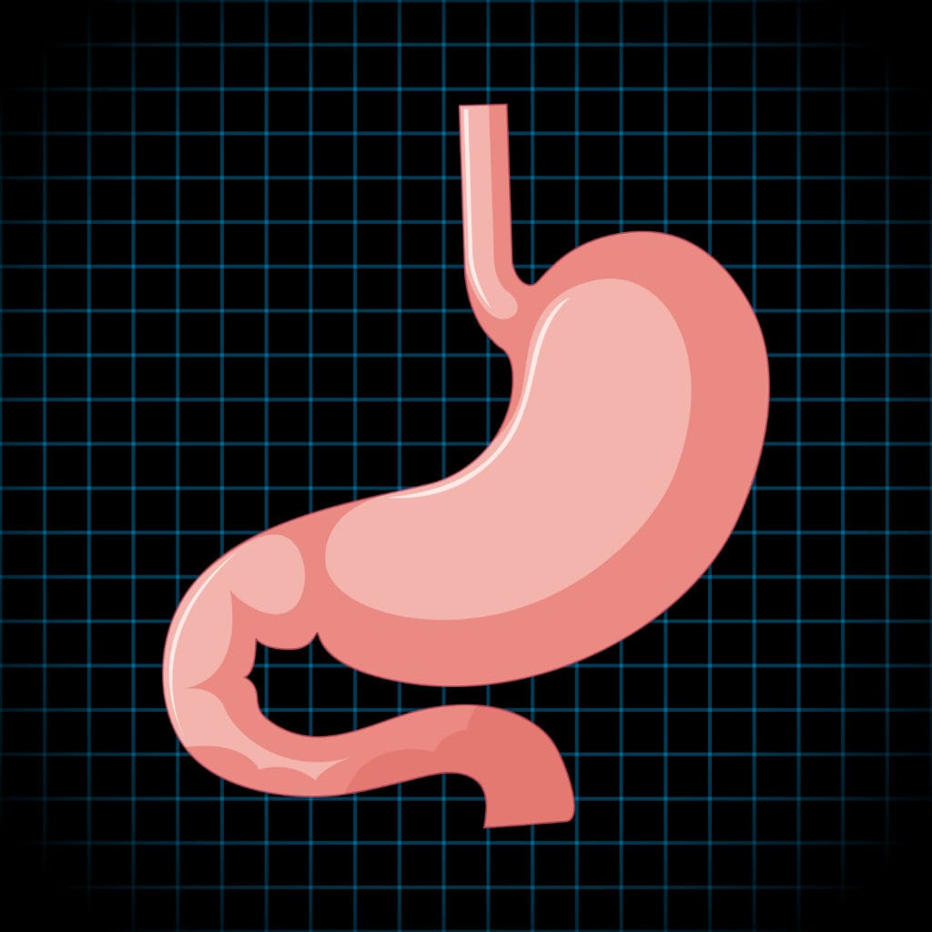 gastroenterology treatment