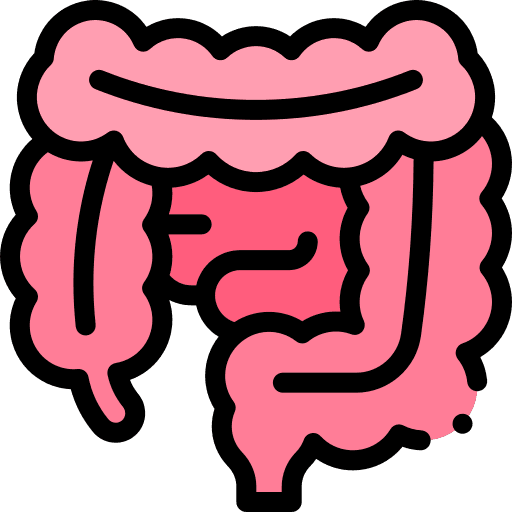 Irritable Bowel Syndrome gastroenterology treatment in hulsoor