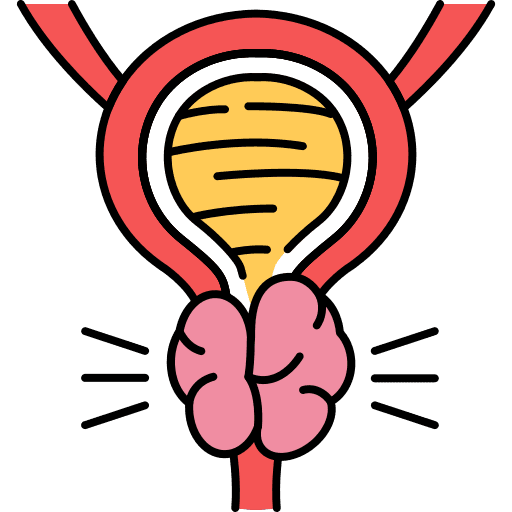 prostate disorders urology treatment in hulsoor