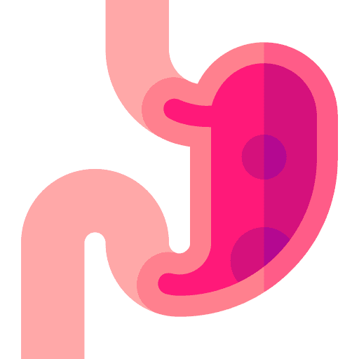 peptic ulcer gastroenterology treatment in hulsoor