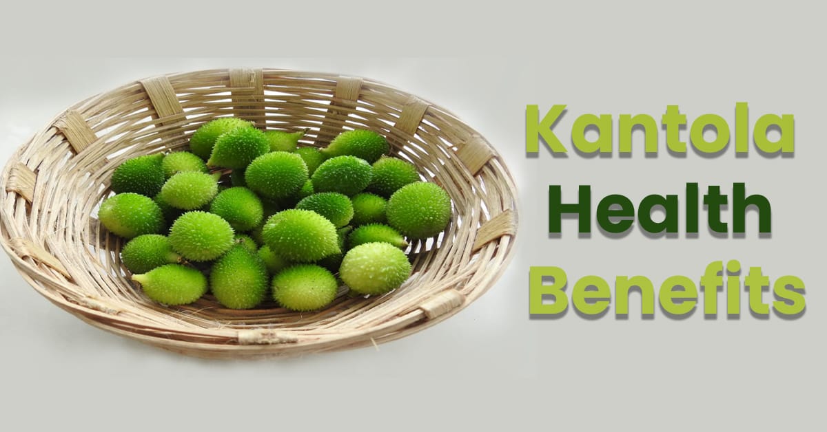 You are currently viewing 10 Amazing Kantola Health Benefits You Should Know