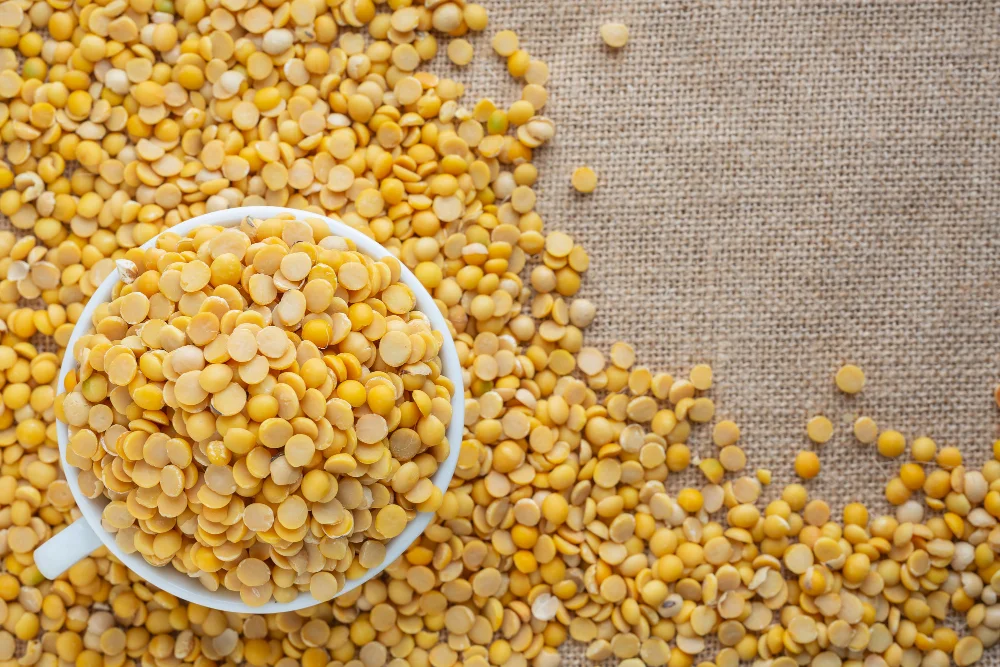 You are currently viewing 10 Incredible Chana Dal Health Benefits You Should Know