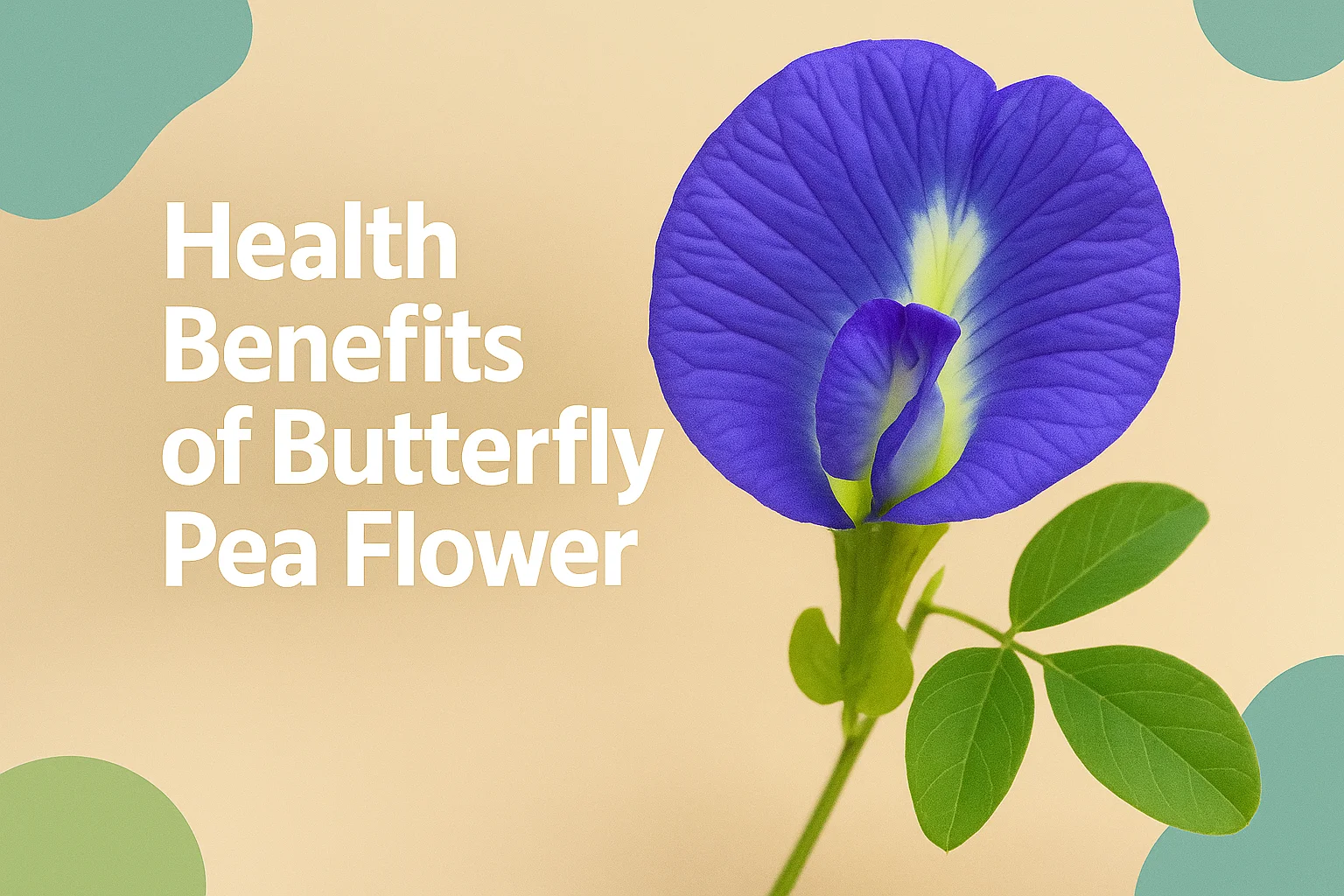 You are currently viewing 11 Amazing Health Benefits of Butterfly Pea Flower