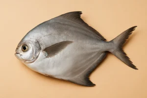 Read more about the article 12 Powerful Pomfret Fish Health Benefits Backed by Science